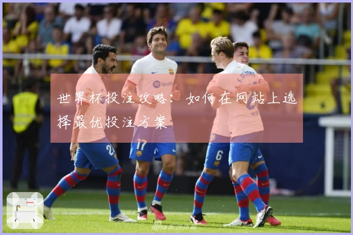 世界杯投注攻略：如何在网站上选择最优投注方案