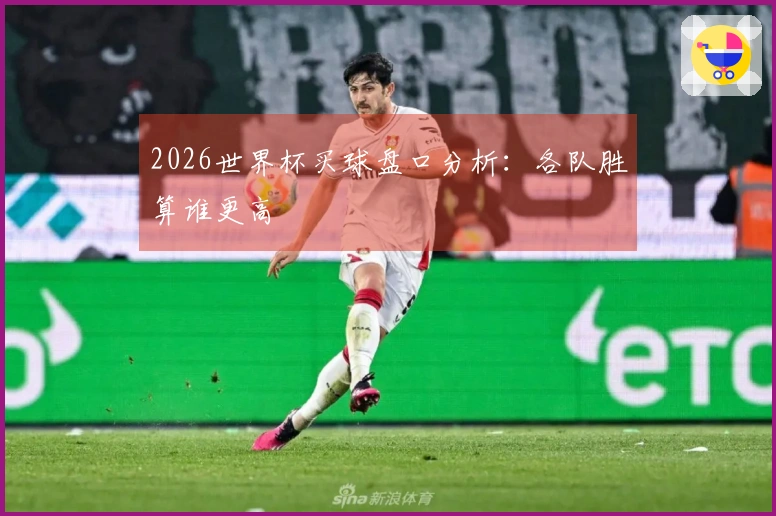 2026世界杯买球盘口分析：各队胜算谁更高
