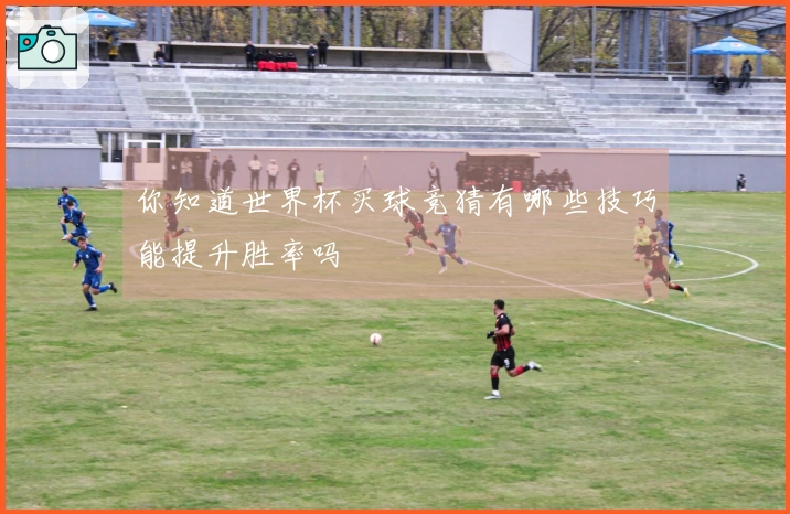你知道世界杯买球竞猜有哪些技巧能提升胜率吗
