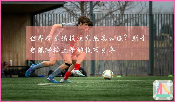 世界杯竞猜投注到底怎么选？新手也能轻松上手的技巧分享