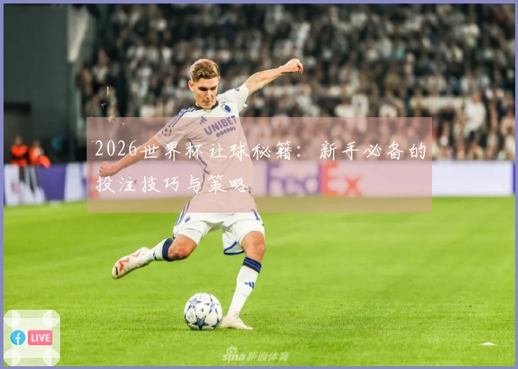 2026世界杯让球秘籍：新手必备的投注技巧与策略