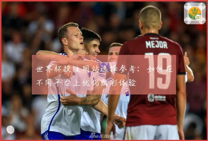 世界杯投注网站选择参考：如何在不同平台上优化购彩体验