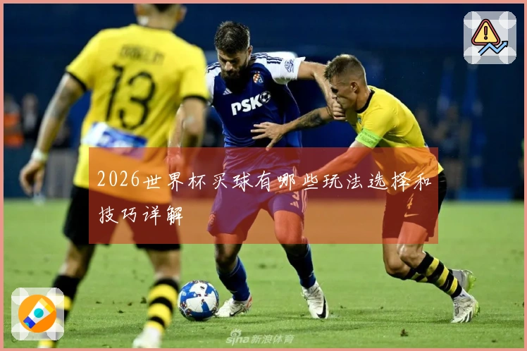 2026世界杯买球有哪些玩法选择和技巧详解