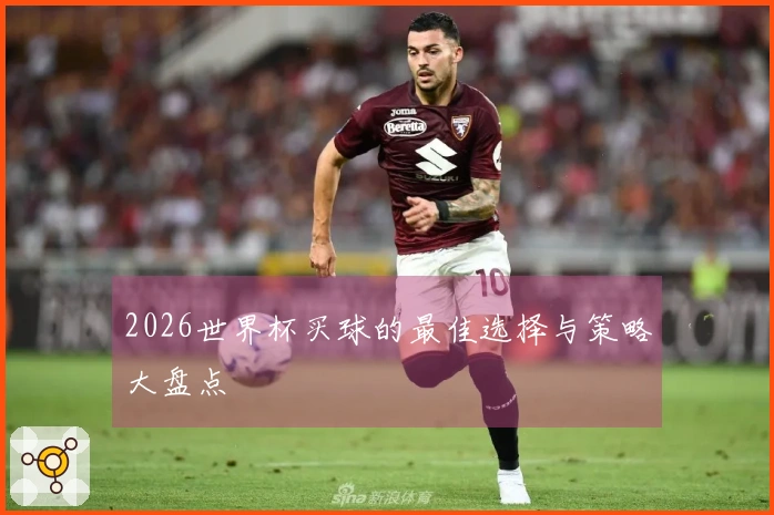 2026世界杯买球的最佳选择与策略大盘点