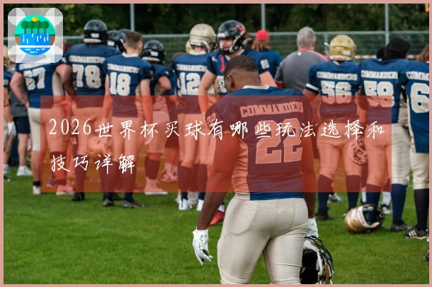 2026世界杯买球有哪些玩法选择和技巧详解